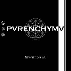 Invention E1